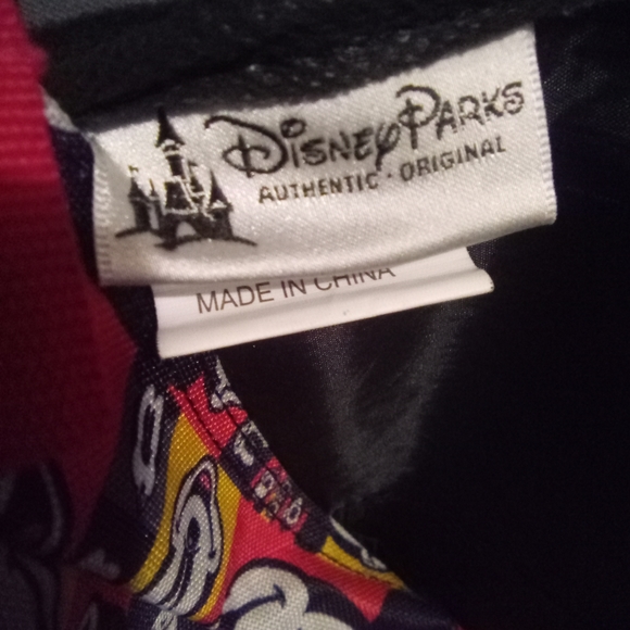 Walt Disney world Disney parks backpack - Picture 5 of 8